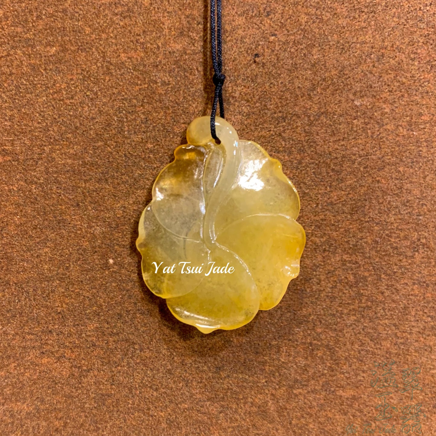 金翡玫瑰花~花花系列 #玫瑰花 #金翡翠 2326923